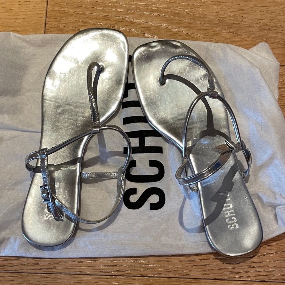 SCHUTZ Metallic Silver Women's Sandals Size 10, wore 3x